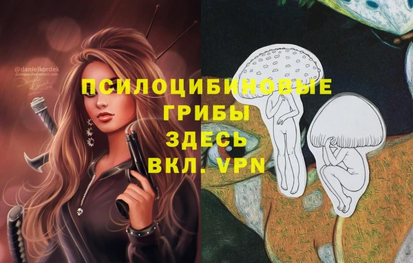 a pvp Вязьма