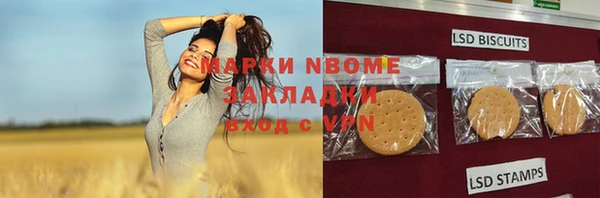 соль ск Вяземский